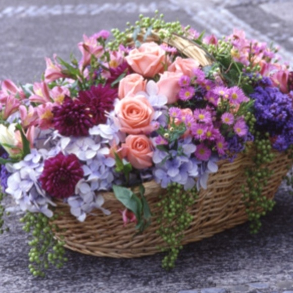 Meet your Posher, Alex - Picture 1 of 1